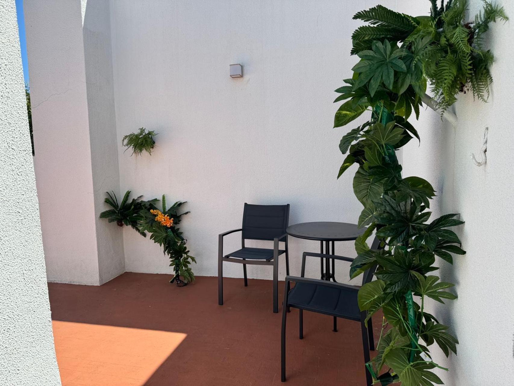 Aomo Art Space Hostel 奥埃拉斯 外观 照片